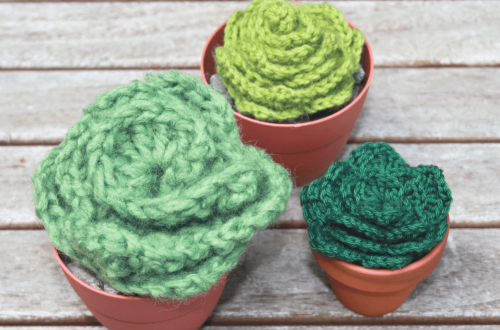 succulentes au crochet